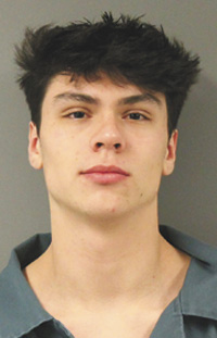 Man arrested for hitting pedestrian | News, Sports, Jobs - Vimarsana News